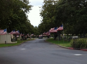 Memorial Day Flags
